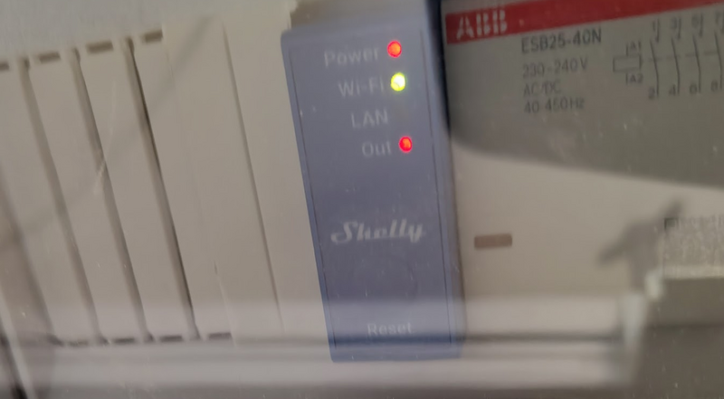 File:Shelly regular.png